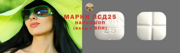 прущие грибы Алексеевка